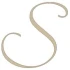 Logo Birgit Sarnoch Haarstudio