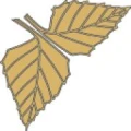 Logo Birkenhof Hotelbetriebs GmbH