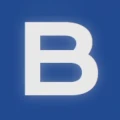 Logo Birling Gerhard e.K.