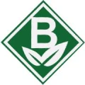 Logo Birnbaum Geb&auml;udeservice GmbH