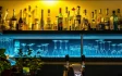 Logo Bistro Harmony