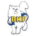 Logo BKF Fahrschule Andr&eacute; Hemker