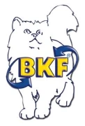 Logo BKF-Fahrschule - André Hemker