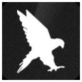 Logo Black Falcon GmbH & Co KG