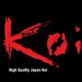 Logo Black-Koi Gbr.