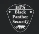 Logo Black Panther Security