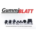 Blatt & Co. GmbH Techn. Gummiwaren Neckarsulm