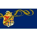 Logo ""Blaue Funken""
