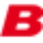 Logo Blitz-Reinigung