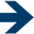 Logo Blitzkurier GT