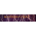 Logo Blitzschutz-Anlagenbau Sult