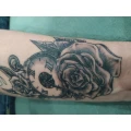 Bloody Kisses Tattoo- und Piercing Studio Wunstorf