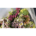 Bloom - Blumenladen Wuppertal