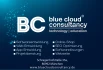 Logo Blue Cloud Consultancy