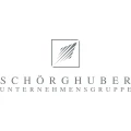 Logo Blue Lion GmbH & Co. Holding KG