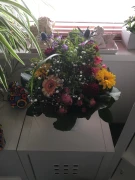 bl&uuml;tenreich Blumenladen Berlin