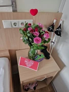 Blume Ideal Fil. Krummhörn Krummhörn