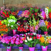 Blumen Bindekunst Sieg Peter Fleurop-Service Bruchsal