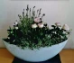 Logo Blumen Bruns Jasmin Guse