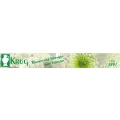 Logo Blumen B&uuml;ringer