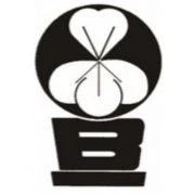 Logo Blumen Burmeister