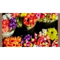 Blumen Dornr&ouml;schen, Am Dornbusch Vlatka Sch&auml;fer Frankfurt