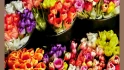 Logo Blumen Dornröschen, Am Dornbusch Vlatka Schäfer