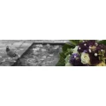 Logo Blumen Eichentopf