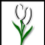 Logo BLUMEN FRESH Ali &Uuml;nsal