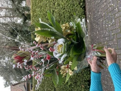 Blumen f&uuml;r jeden Anlass Storkow