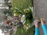 Logo Blumen für jeden Anlass