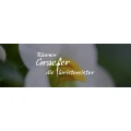 Logo Blumen Graefer