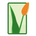 Blumen Hamm T&uuml;bingen