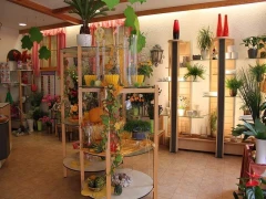 Blumen Hildebrand Stuttgart