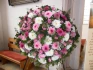 Logo Blumen Hoffmann