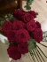 Logo Blumen - Holland Blumen Langkemper Robert