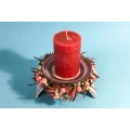 Blumen Interfleur Wildeshausen