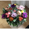 Blumen Iwan Augsburg
