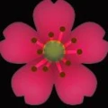 Logo Ambiente Blumen Im Hufschmiedhaus Inhaber Ingeborg Gro&szlig;-Ruff