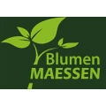 Blumen Maessen Bingen