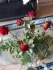 Logo Blumen Matzke