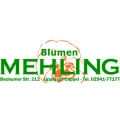 Logo Mehling, Andreas