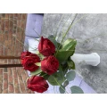 Blumen Morschhoven - HIT Markt Troisdorf