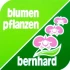 Logo blumen pflanzen bernhard e.K.