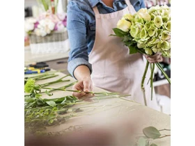 Blumen Risse Gartencenter Soest Öffnungszeiten Telefon