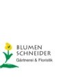 Blumen Schneider Volkach