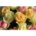 Logo Blumen sind unsere Leidenschaft - Rosen(t)raum - Miesbach