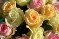 Logo Blumen sind unsere Leidenschaft - Rosen(t)raum - Miesbach