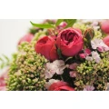 Blumen Springer Martin Springer Martin Springer Talheim