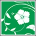 Logo Blumen Steguweit Manfred e.K.